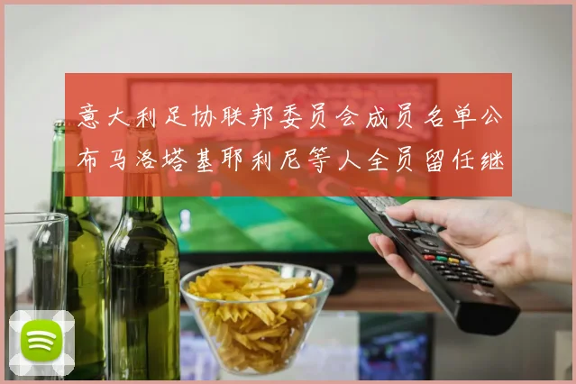 意大利足协联邦委员会成员名单公布马洛塔基耶利尼等人全员留任继续服务